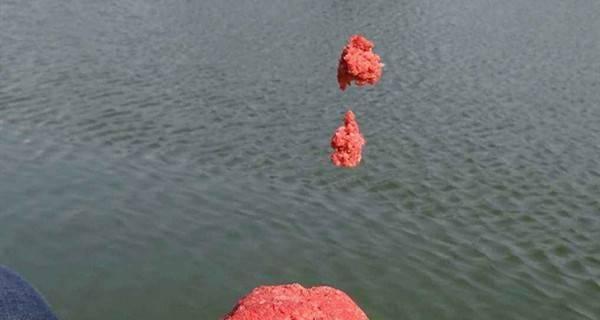 搓饵钓鱼有哪些技巧吗？如何提高钓鱼成功率？  第3张