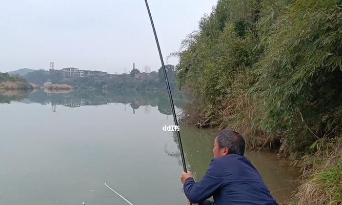 达人教你钓鱼技巧？如何快速掌握钓鱼技巧？  第2张