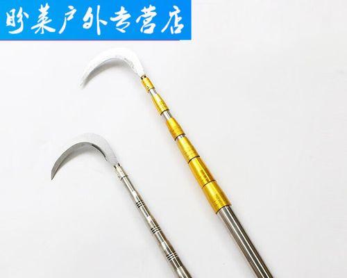 打白杆钓鱼技巧方法教程？如何提高钓鱼成功率？  第1张