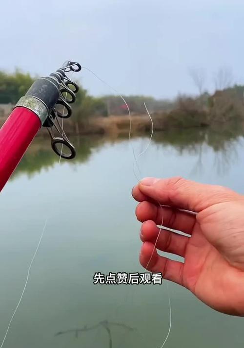 打海竿钓鲢鳙时如何正确抛投？掌握哪些技巧能提高成功率？  第2张