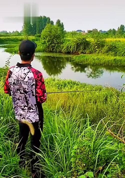 打黑钓鱼技巧教程？如何提高钓鱼成功率？  第1张