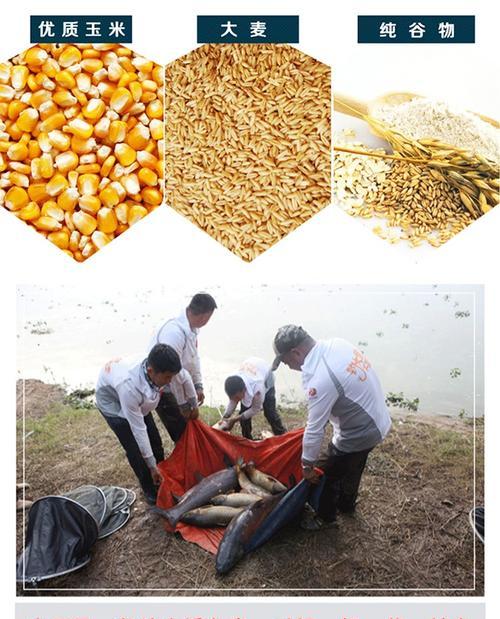 打鱼饵的方法和技巧有哪些？如何提高钓鱼效率？  第1张