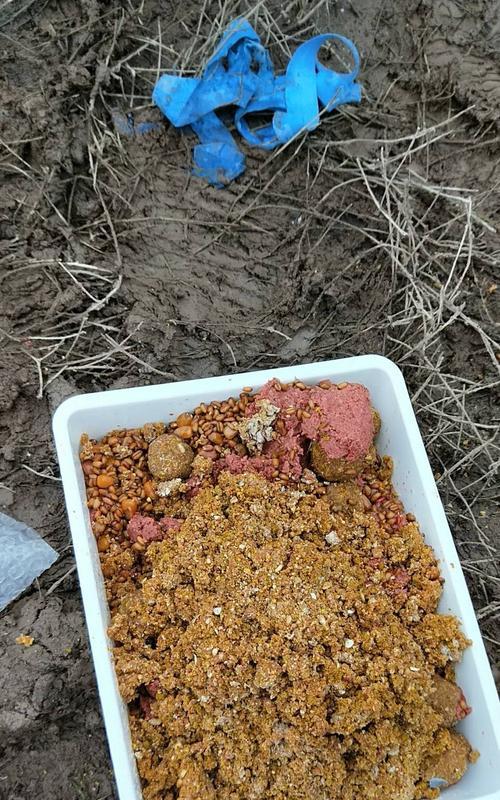 打重窝钓鱼技巧有哪些？如何提高钓鱼成功率？  第2张