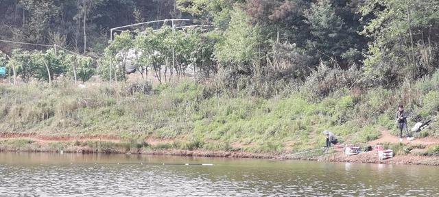 大坝钓鱼技巧教程？如何在大坝上成功钓到鱼？  第1张