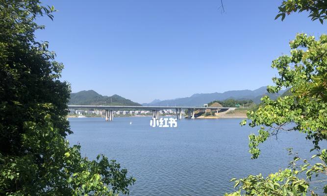 大坝风景区钓鱼技巧有哪些？如何提高钓鱼成功率？  第2张