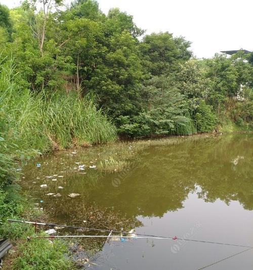 大坝子水库钓鱼技巧和方法有哪些？如何提高钓鱼成功率？  第3张