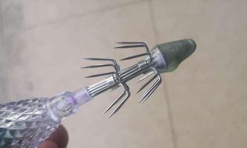 大船上钓鱿鱼的技巧有哪些？如何提高钓鱿鱼的成功率？  第1张