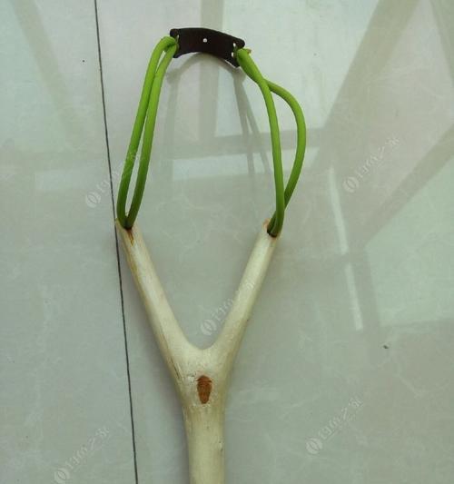 弹弓钓鱼找鱼技巧和方法是什么？如何有效提高钓鱼成功率？  第1张