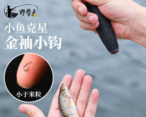 如何掌握弹钩钓鱼技巧？常见问题有哪些解决方案？  第1张