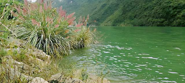 到河里钓鱼有哪些技巧？如何提高钓鱼成功率？  第1张