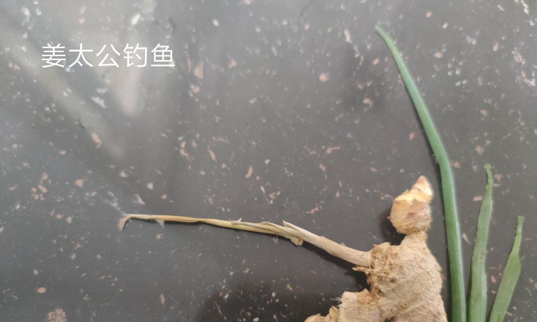 倒钓浮水虾技巧是什么？如何提高倒钓浮水虾的成功率？  第3张