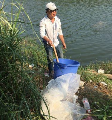 稻谷打窝钓鱼技巧教程？如何提高钓鱼成功率？  第2张