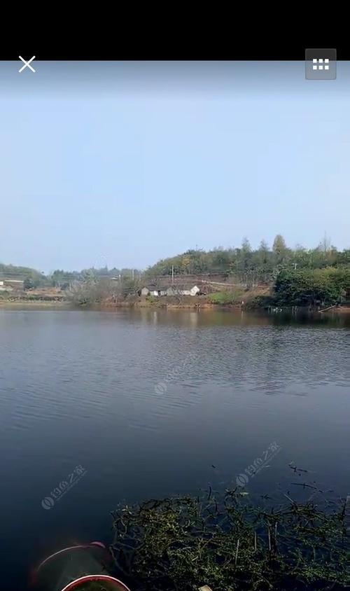 稻田水库钓鱼技巧有哪些？如何提高钓鱼成功率？  第1张