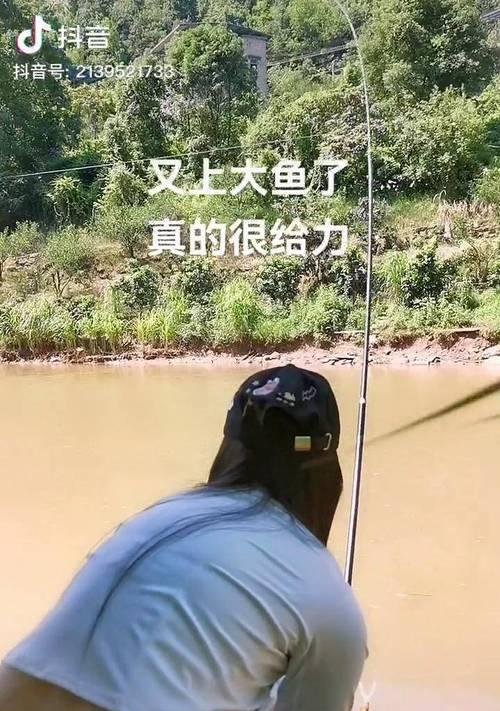 稻田野钓鱼技巧教程？如何提高钓鱼成功率？  第2张