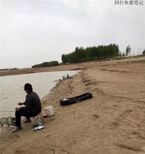 地城之光钓鱼脚本怎么用？教程步骤详细解析？  第3张