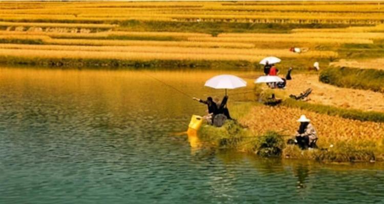 地核守护者钓鱼技巧有哪些？如何提高钓鱼成功率？  第1张