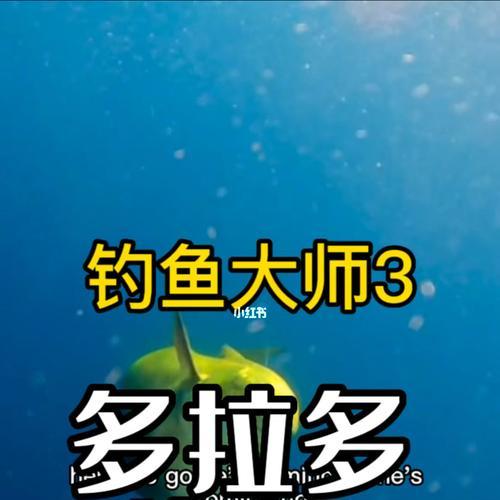 邓大师钓鱼技巧的传授方法有哪些？如何快速掌握？  第2张