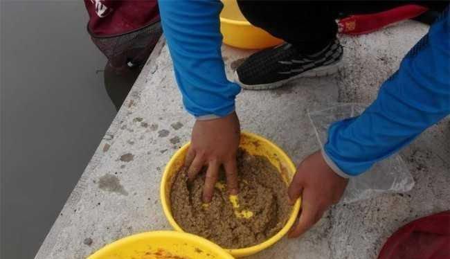 低密度黑坑钓鱼技巧法？如何提高钓鱼成功率？  第3张