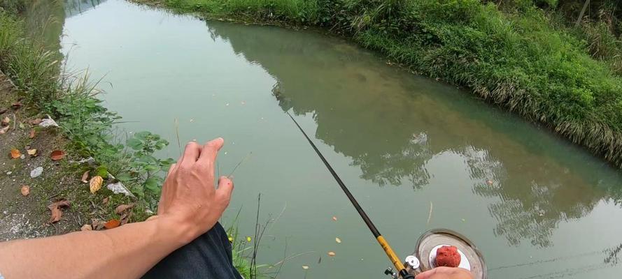 低温钓鱼的技巧教学？如何在寒冷天气中成功钓到鱼？  第2张