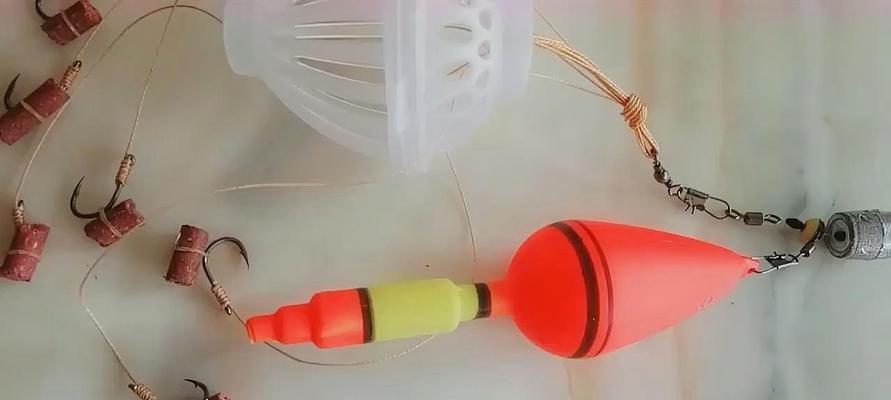 低温季节钓鱼技巧有哪些？如何提高钓鱼成功率？  第1张