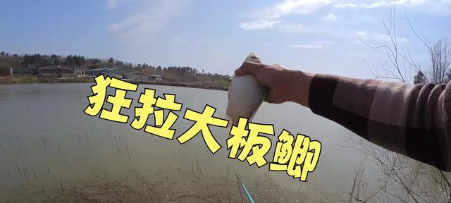 堤坝钓鱼技巧和方法有哪些？如何提高堤坝钓鱼的成功率？  第2张