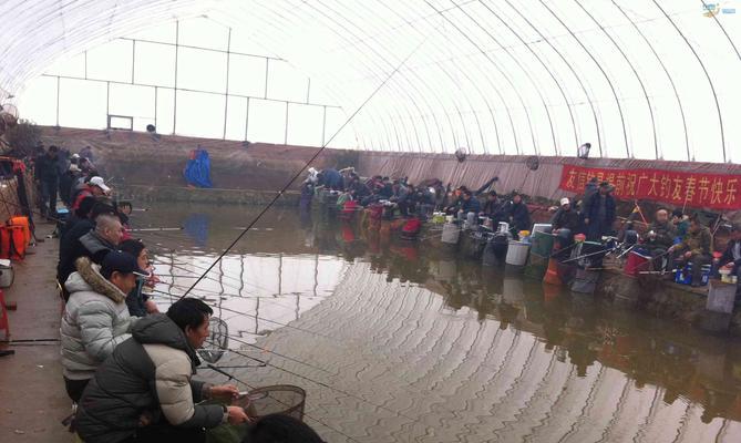 底不平的黑坑钓鱼技巧是什么？如何应对底不平的挑战？  第1张