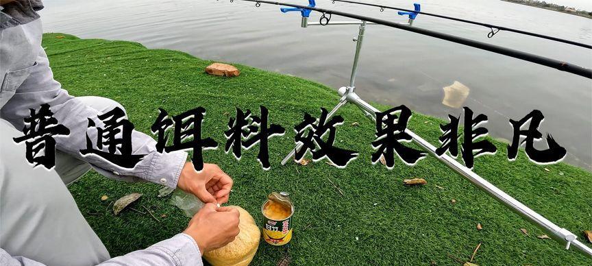 如何在底部淤泥中成功钓鱼？掌握这些技巧了吗？  第1张