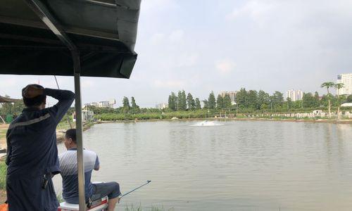点钓鱼的池塘技巧分是什么？如何提高钓鱼效率？  第1张
