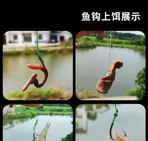 电排钩钓鱼技巧有哪些？如何提高钓鱼成功率？  第3张