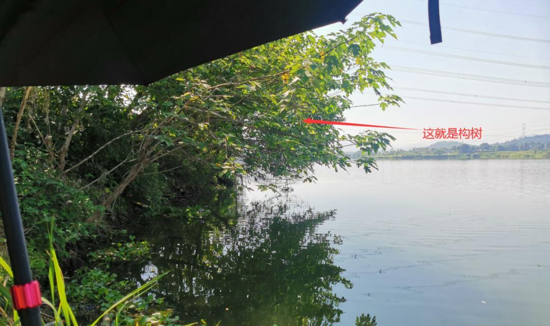 钓底钓浮的正确方法与技巧是什么？如何掌握？  第3张