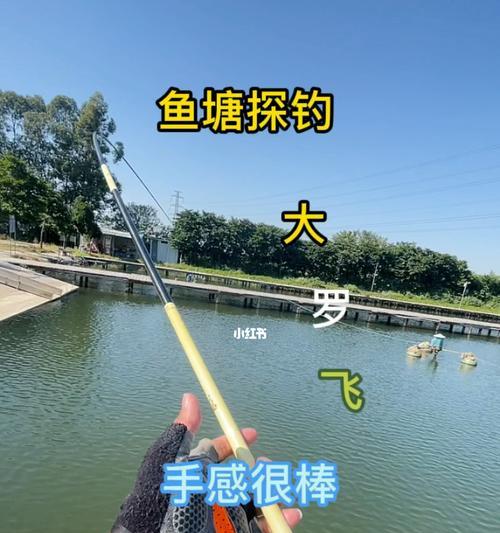 钓底野外钓鱼技巧有哪些？如何提高钓底钓鱼的成功率？  第3张