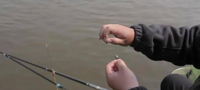 如何正确进行钓浮挂双钩调漂？掌握这些技巧轻松上鱼！  第1张