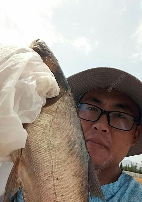 如何掌握钓海鱼的浮标技巧？常见问题有哪些？  第1张