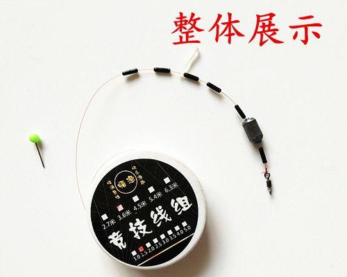 如何掌握钓海鱼的浮标技巧？常见问题有哪些？  第3张