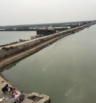 如何掌握钓海鱼的浮标技巧？常见问题有哪些解答？  第1张