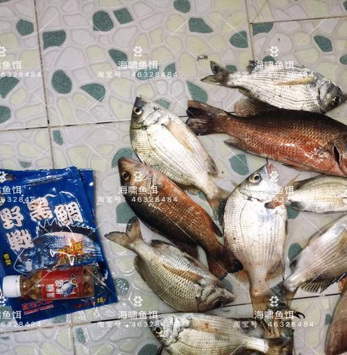 如何掌握钓海鱼的浮标技巧？常见问题有哪些解答？  第2张