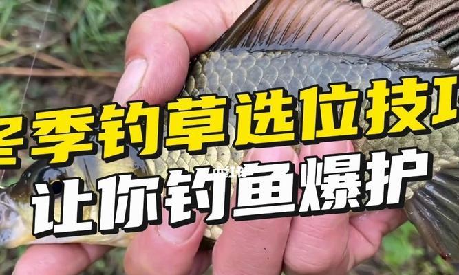 如何掌握钓鱼的技巧方法？有哪些常见问题需要避免？  第2张