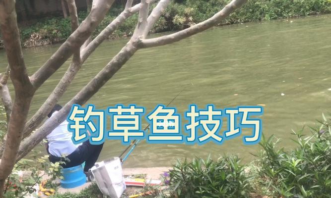 如何掌握钓鱼的技巧及绝招？钓鱼高手分享的秘诀是什么？  第1张