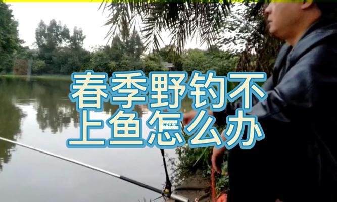 如何掌握钓鱼的技巧绝招？教学中常见的问题有哪些？  第3张