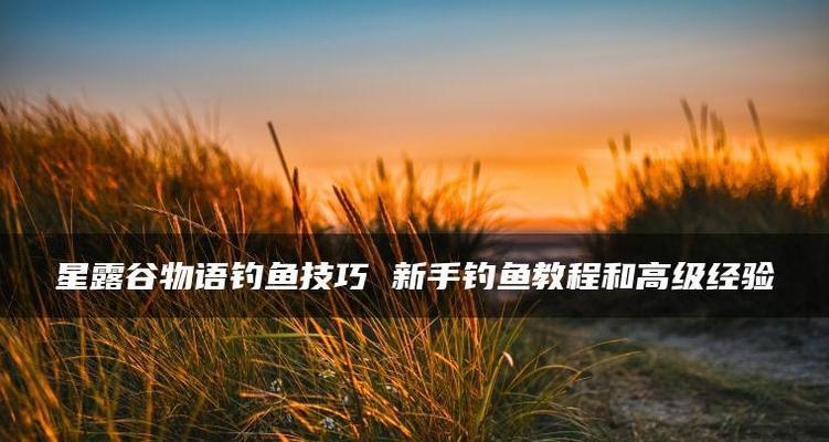 如何快速掌握钓鱼的技巧与方法？教程在哪里找？  第1张