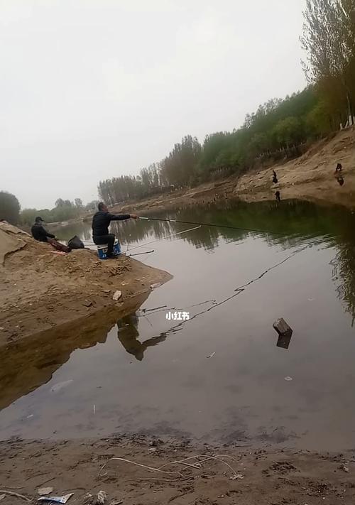 如何掌握钓鱼的正确流程和技巧？  第1张