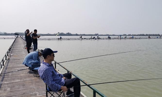 如何掌握正确的钓鱼收竿技巧？收竿时常见的问题有哪些？  第1张