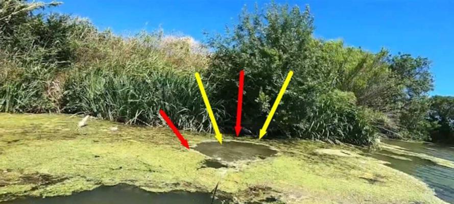 如何掌握正确的钓鱼提杆技巧？提杆时机和力度如何把握？  第1张