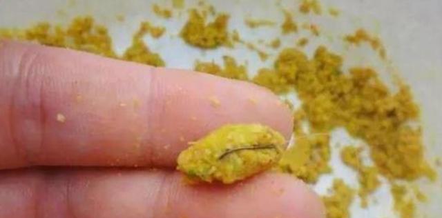 如何用小钩挂玉米进行钓鱼？挂玉米的正确方法是什么？  第1张