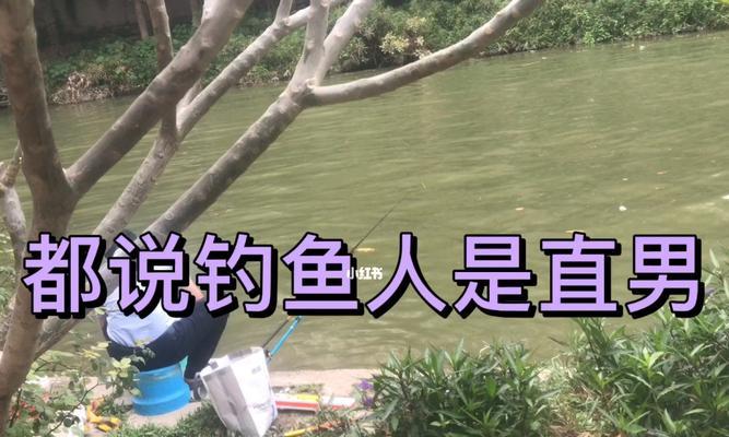如何提高钓鱼技巧？掌握哪些小方法能更有效钓鱼？  第2张