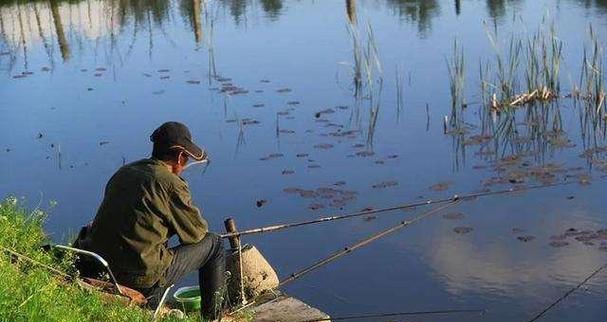 钓鱼的小技巧你知道多少？如何提高钓鱼成功率？  第2张