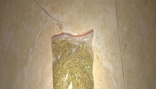 钓鱼的小偏方技巧有哪些？如何提高钓鱼效率？  第3张