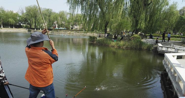 钓鱼钓草窝怎么钓法技巧？有哪些有效技巧？  第3张