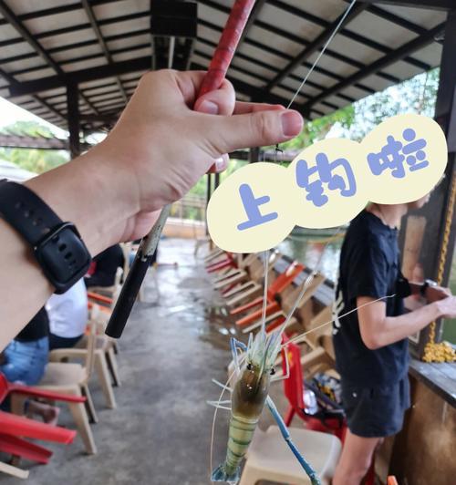 如何正确钓鱼和钓虾？掌握这些技巧轻松上手！  第3张