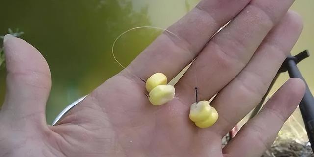 钓鱼调钓技巧教程？如何快速掌握钓鱼技巧？  第3张